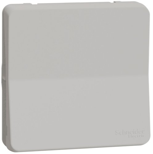 Выключатель самовозвратный без рамки Schneider Electric Mureva Styl 1-кл. IP55 белый фото Выключатель самовозвратный без рамки Schneider Electric Mureva Styl 1-кл. IP55 белый картинка